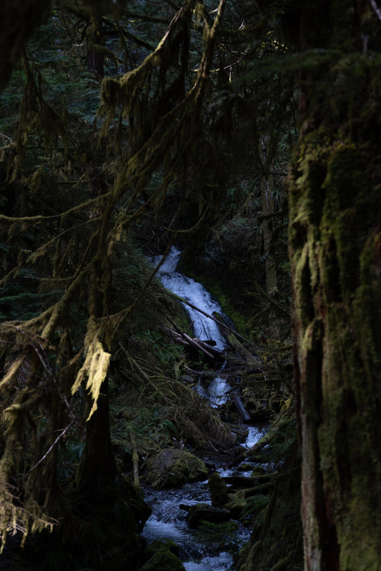 What They Never See - a photographic series