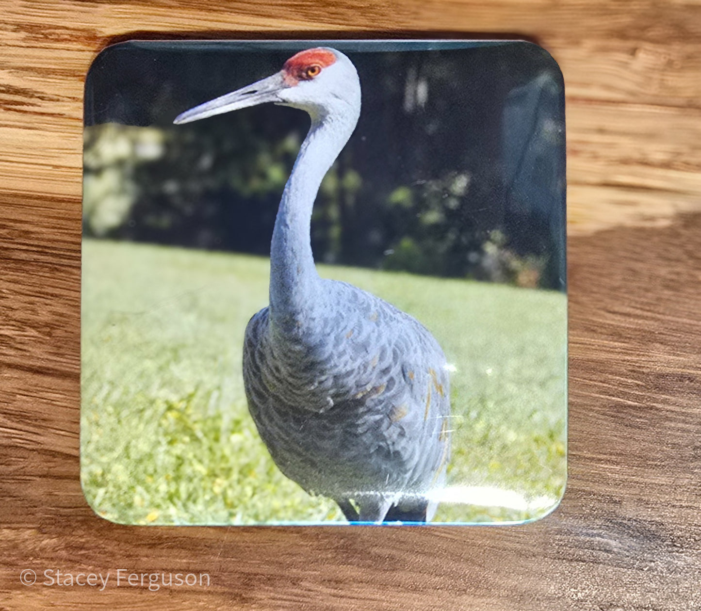 2X2 personalized Magnet - Set of 4